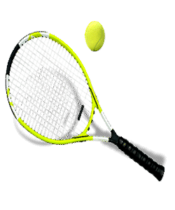 website template image